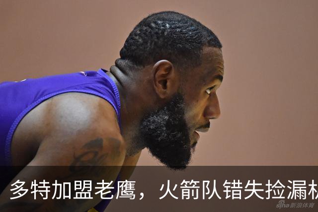 多特加盟老鹰，火箭队错失捡漏机会？专家分析：斯通未出手太可惜