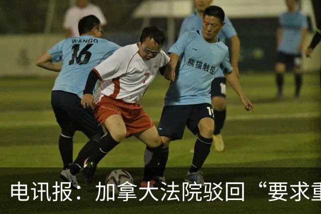 电讯报：加拿大法院驳回“要求重新考虑允许托马斯入境”的申请